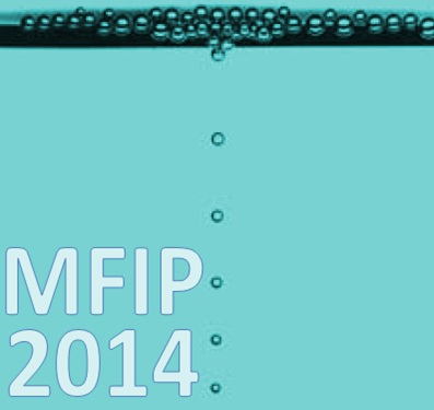 MFIP14 LOGO